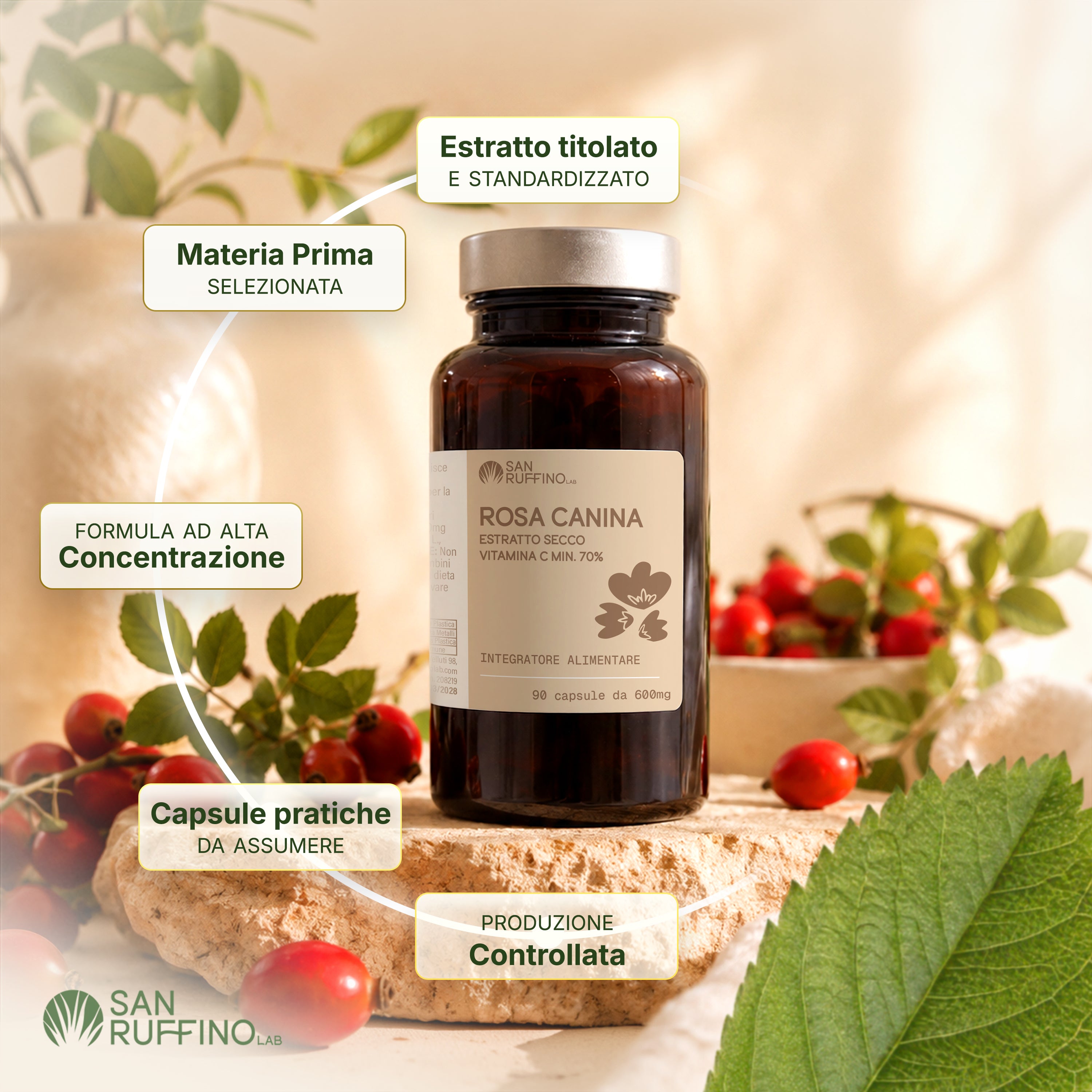 ROSA CANINA - VIT. C 70%