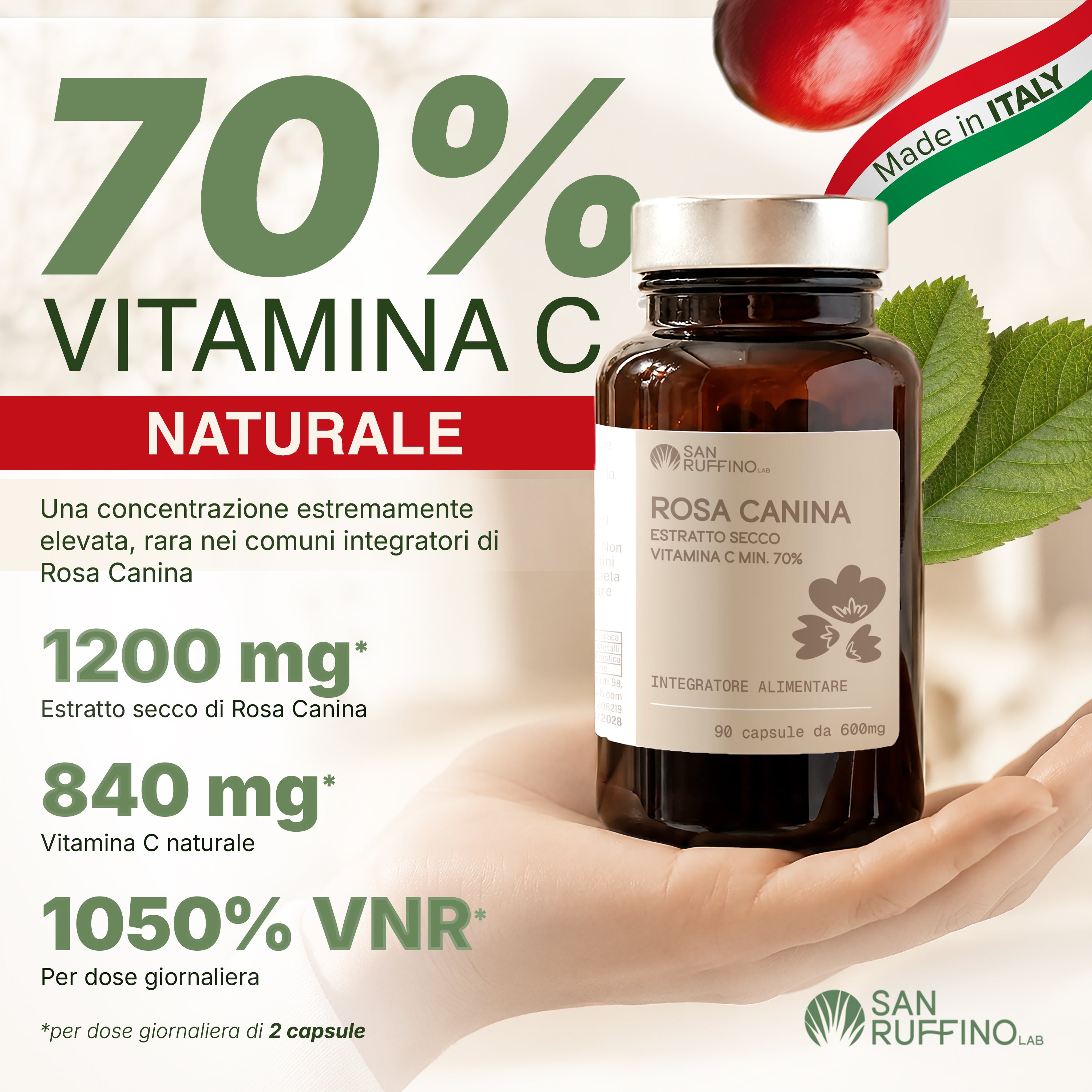 ROSA CANINA - VIT. C 70%