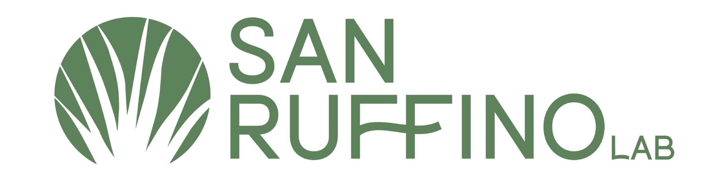 SanRuffinoLab.com